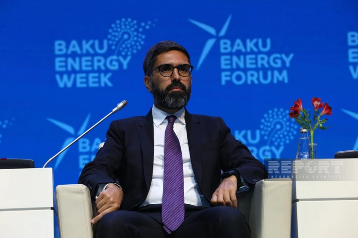 Rövşən Nəcəf: SOCAR bərpa olunan enerji layihələrinə investisiya yatırmaq istəyir