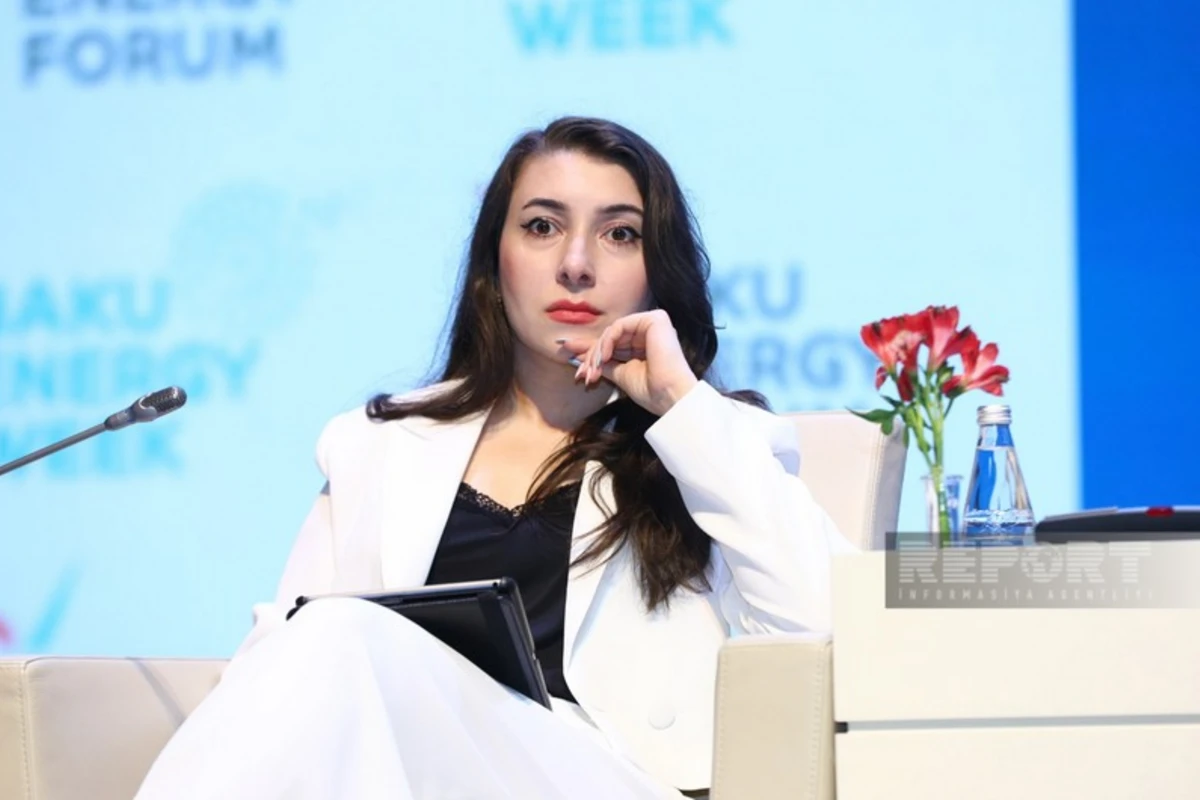 SOCAR hasilat və LNG sahəsində yeni layihələr həyata keçirməyi planlaşdırır
