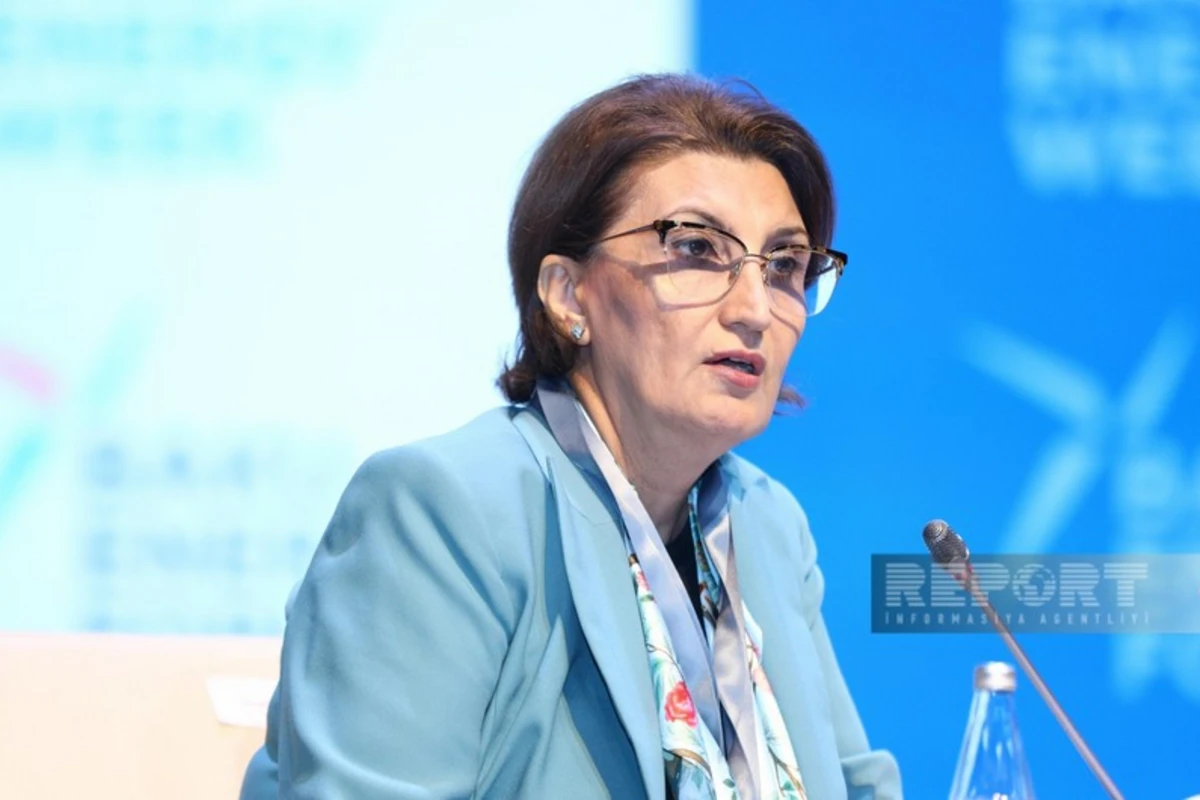 SOCAR “Naxçıvan” strukturunun ehtiyatlarının qiymətləndirilməsini artırıb