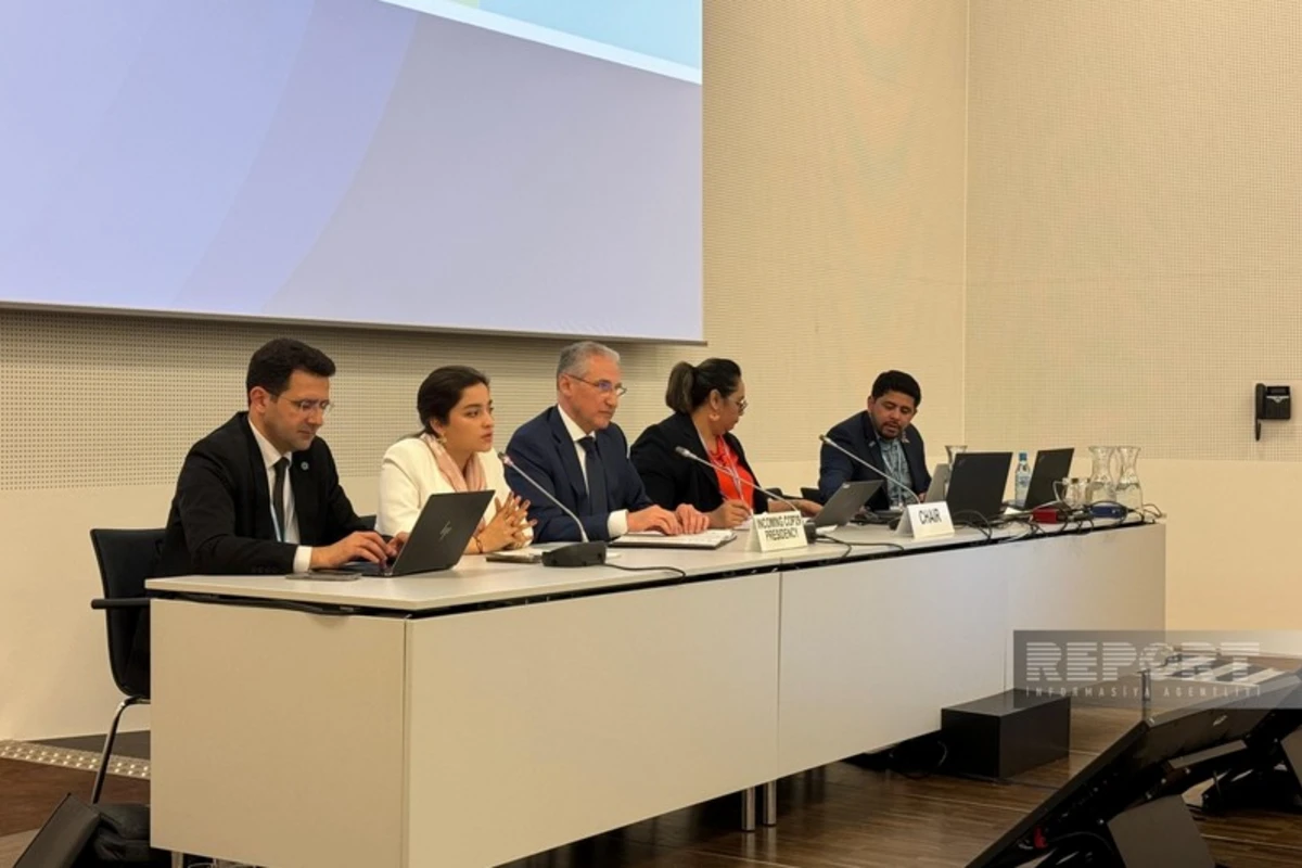 COP29 prezidenti kiçik ada dövlətləri üzrə Danışıqlar Qrupunun nümayəndələri ilə görüşüb