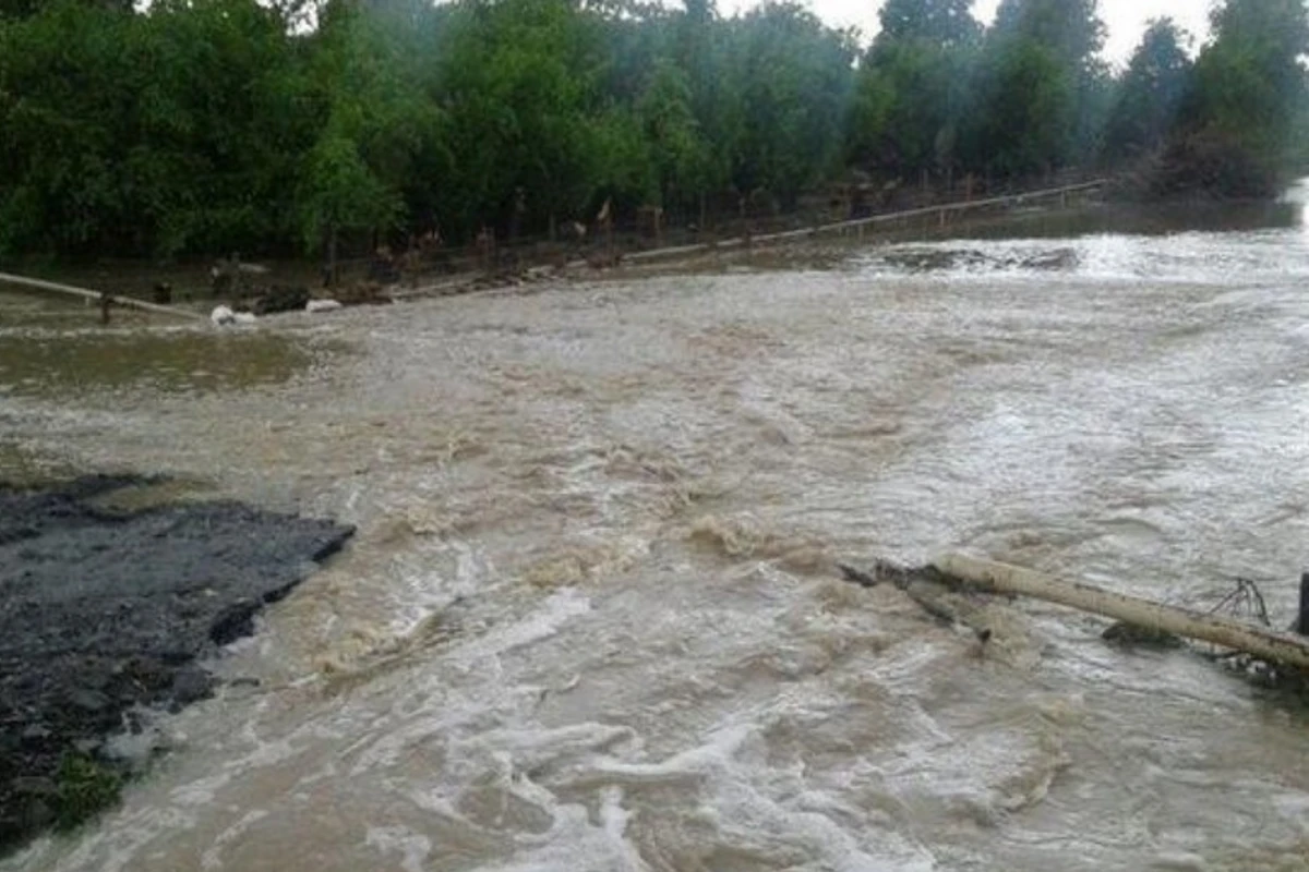 Sel suları Zaqatalada fəsadlara səbəb olub