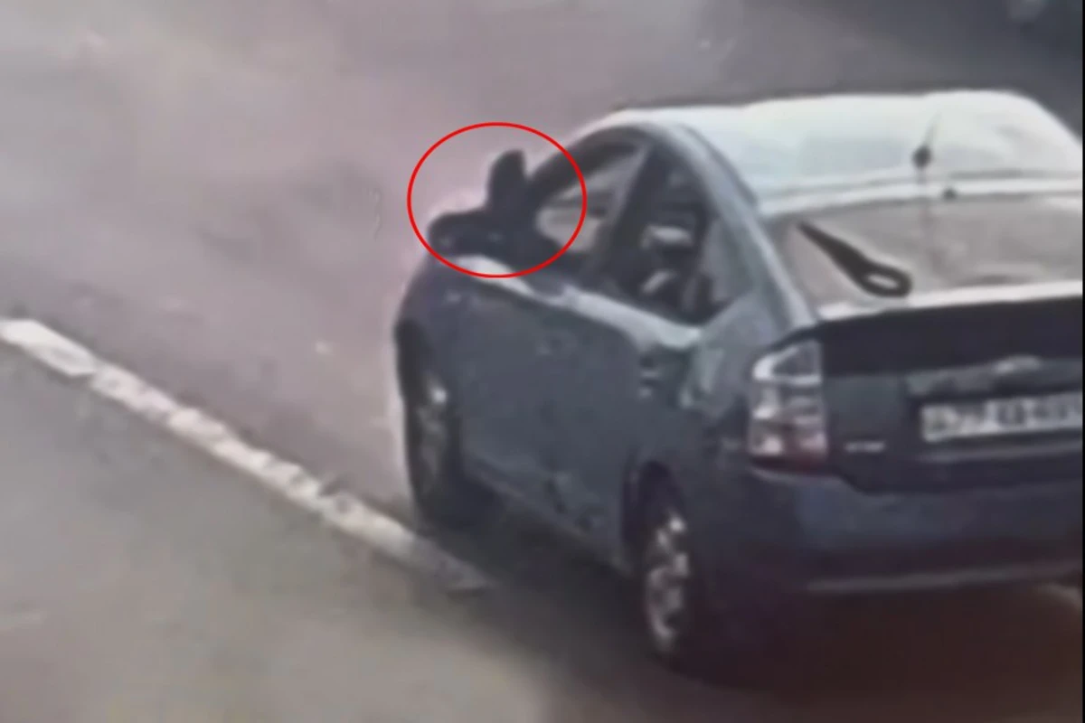 Pəncərədən ayağını çıxarıb Prius sürən şəxs həbs edilib - VİDEO
