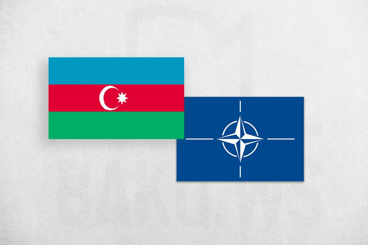 Azərbaycanın NATO ilə tərəfdaşlığının perspektivləri müzakirə edilib