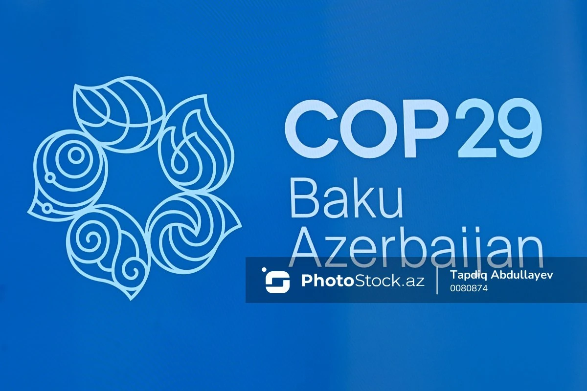 BMT təmsilçiləri: Biz COP29-a sədrliyi çərçivəsində Azərbaycanla yaxından əməkdaşlıq edəcəyik