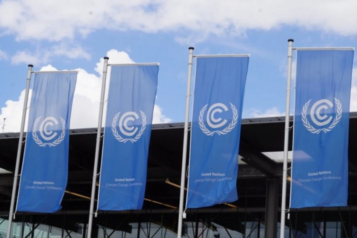 COP29: “Paris Sazişi”nin əsas istiqamətləri üzrə kollektiv şəkildə irəliləyişə nail olmaq vacibdir