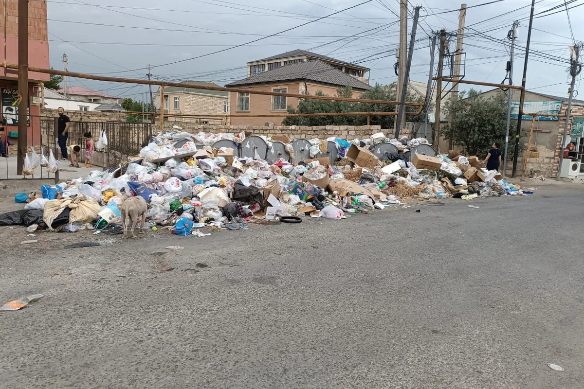 Xırdalanda zibil problemi - Şikayətlər cavabsız qalır - FOTO