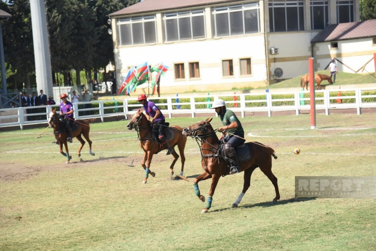 Azərbaycan millisi dünya çempionu olub - FOTO