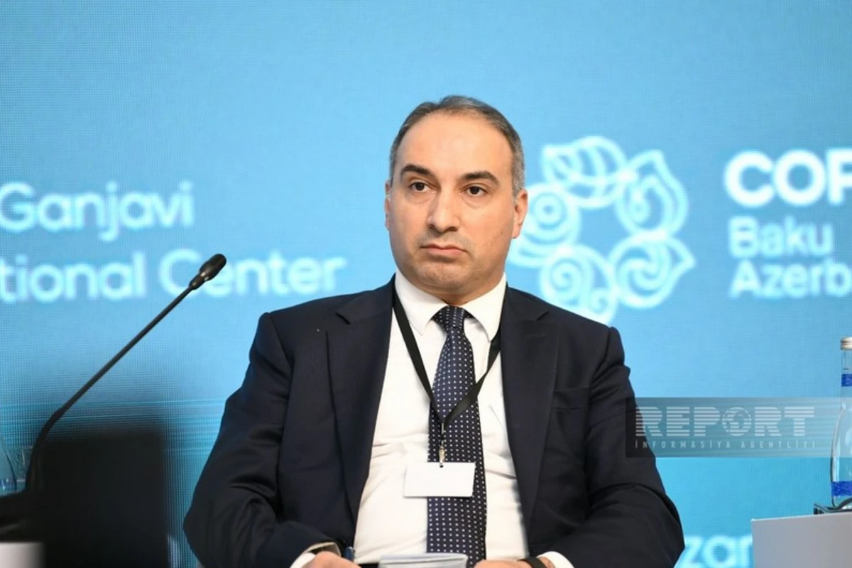 Həbib Mikayıllı: COP29 iqlim dəyişikliyi ilə mübarizəyə əhəmiyyətli təsir göstərəcək