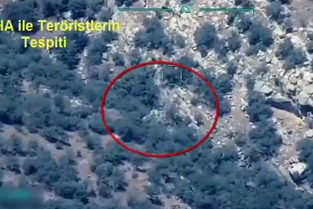 Türkiyə ordusu 5 PKK terrorçusunu zərərsizləşdirdi - VİDEO