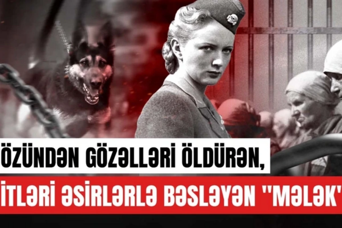 Özündən gözəlləri öldürən, itləri əsirlərlə bəsləyən mələk - VİDEO