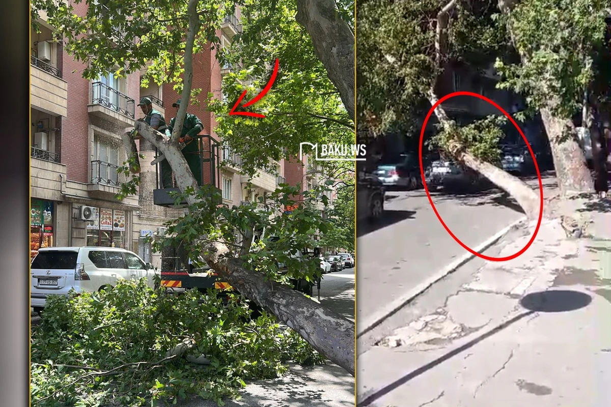 BAKU.WS işıqlandırdı, problem öz həlli tapdı - FOTO/VİDEO - YENİLƏNİB