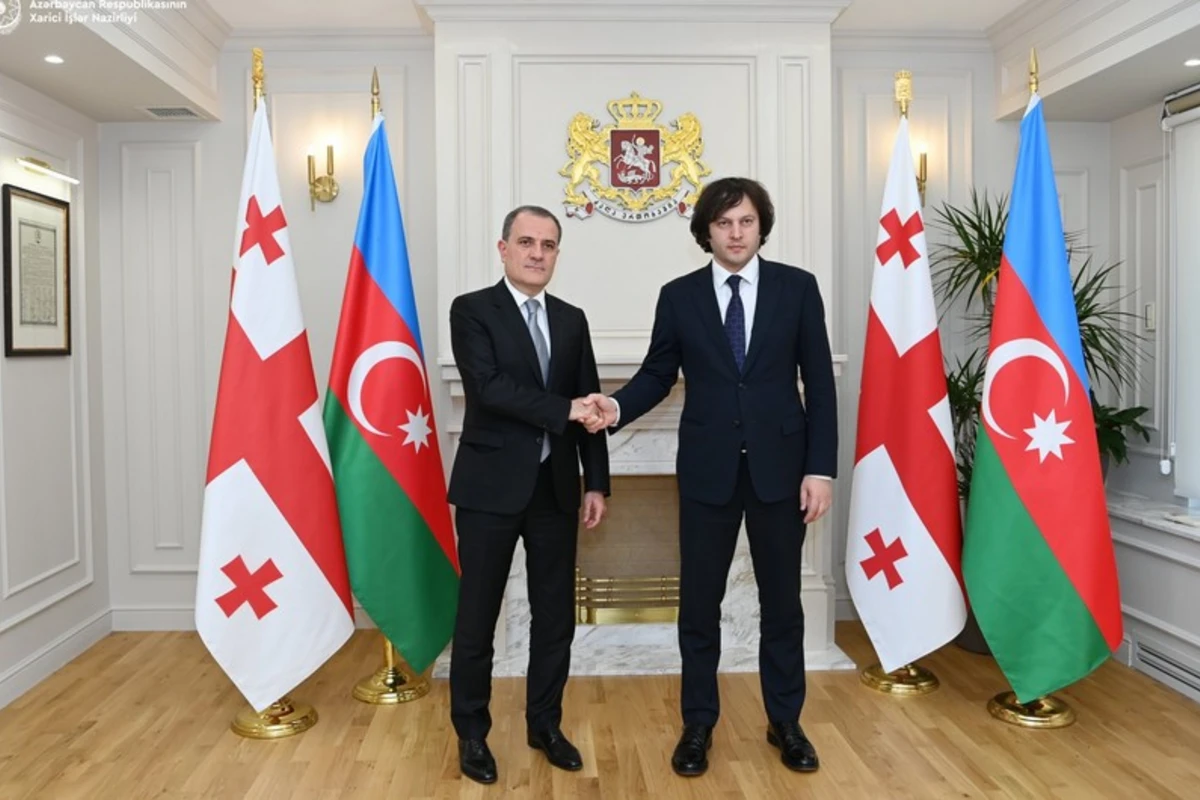 Ceyhun Bayramov Kobaxidze ilə strateji sahələrdə əməkdaşlığın genişləndirilməsini müzakirə edib - FOTO