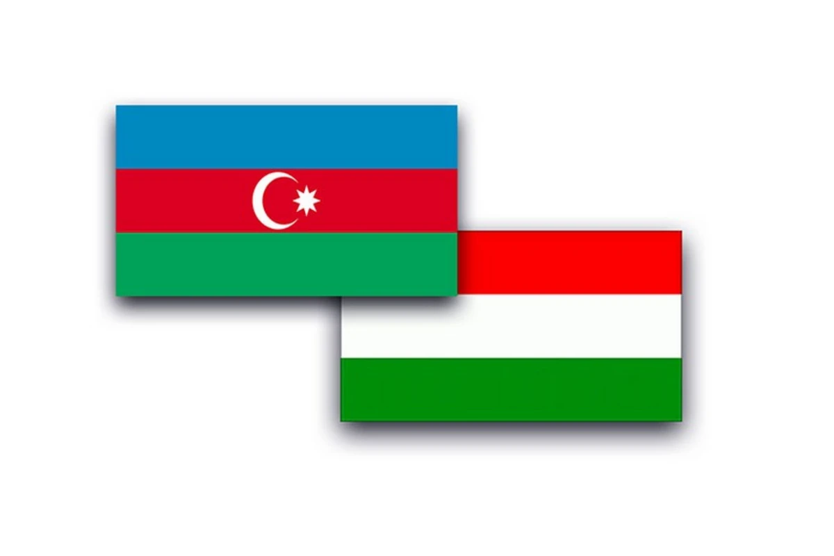 Azərbaycanın müdafiə naziri Macarıstana səfər edib