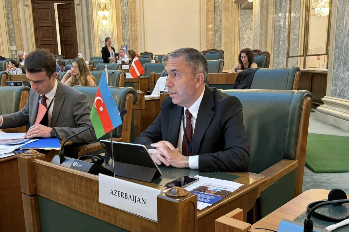 Tahir Mirkişili: COP29-da 200-ə yaxın ölkə yeni maliyyələşdirmə hədəfi üzrə razılığa gəlməyə çalışacaq