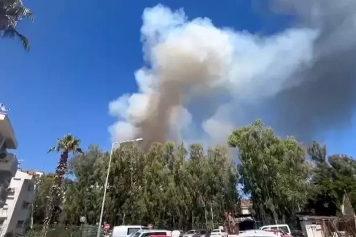Antalyada meşə yanğını baş verib - FOTO