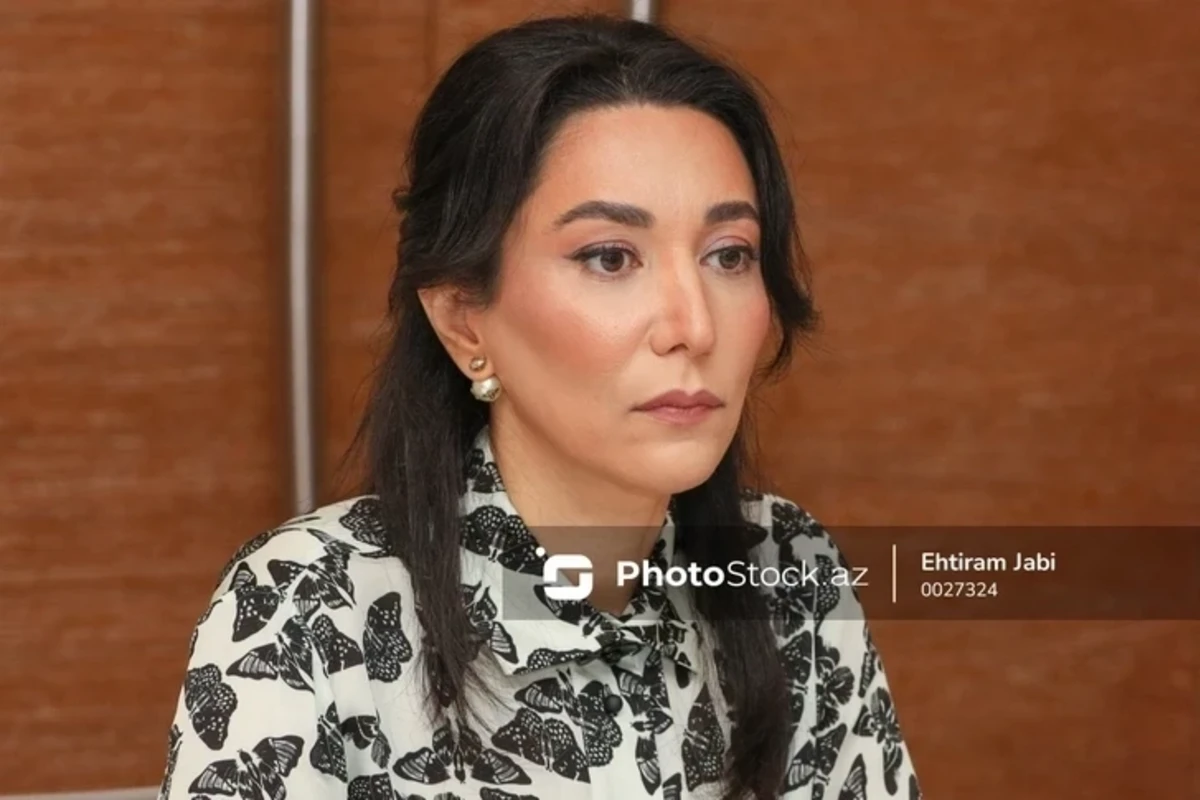 Омбудсмен: Комитет СЕ не ссылается на отчеты национального института прав человека