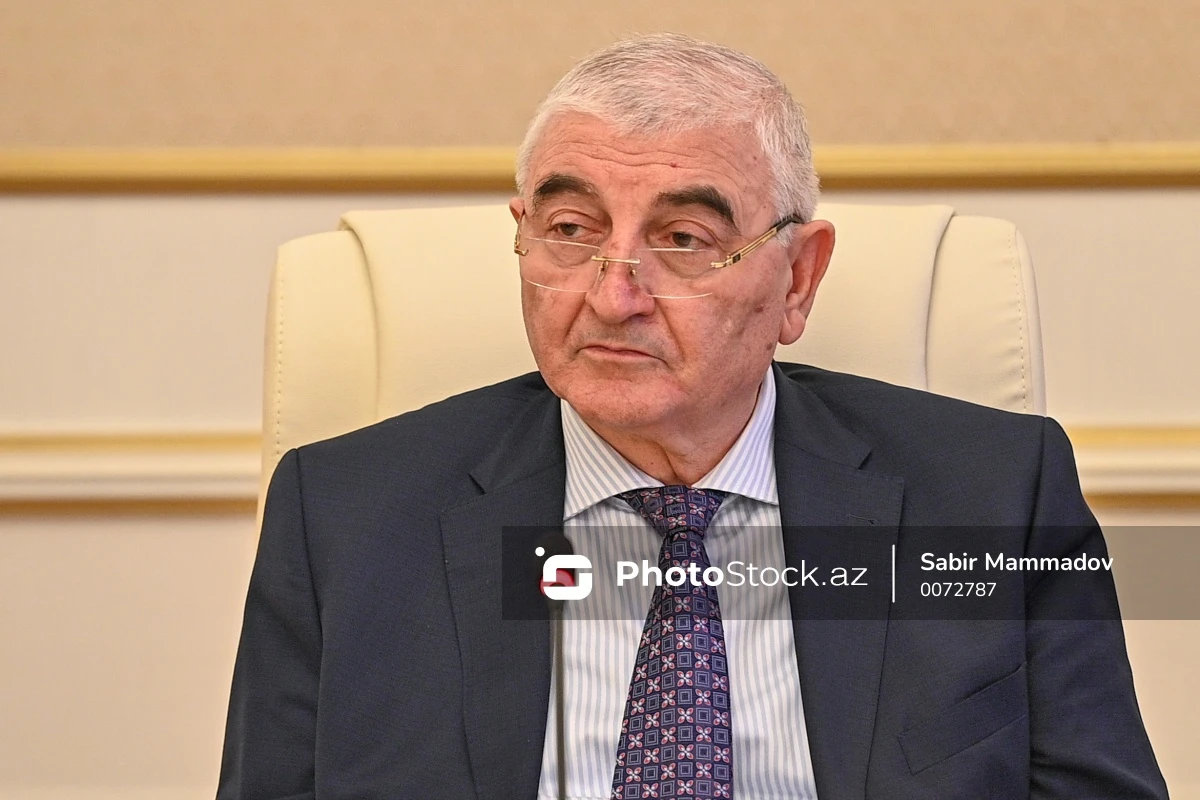 Сколько человек выдвинули свою кандидатуру на пост депутата в Азербайджане? - ОФИЦИАЛЬНО