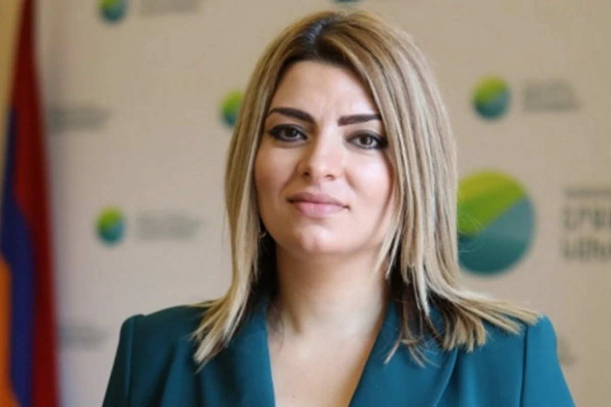 Ermənistanın ekologiya nazirinin keçmiş müavini hökuməti məhkəməyə verib