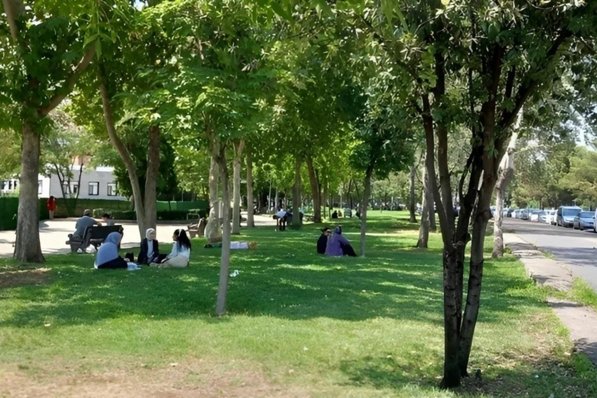 Parkda istirahət edən müəllimin başından güllə ilə vurdular Parkda istirahət edən müəllimin başından güllə ilə vurdular