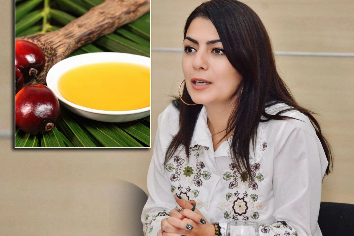 Palma yağından hazırlanan qidalar zərərlidir? - AÇIQLAMA