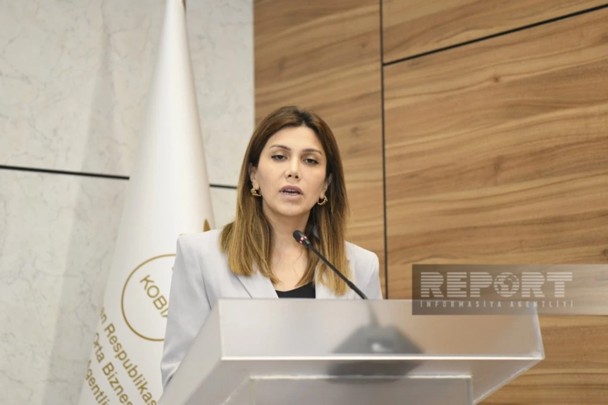 Qarabağdakı layihələrdə iştirak üçün 442 xarici şirkət müraciət edib Qarabağdakı layihələrdə iştirak üçün 442 xarici şirkət müraciət edib