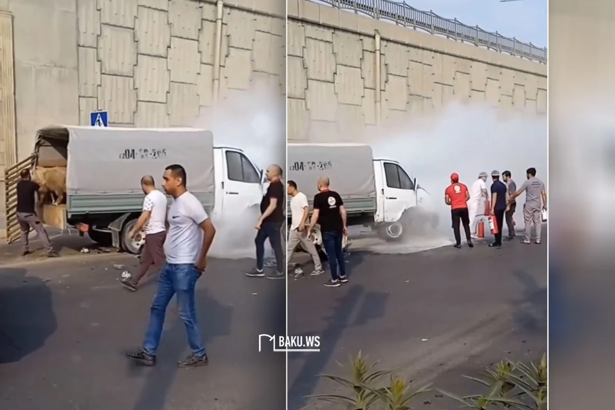 Bakıda xırda buynuzlu heyvanları daşıyan yük maşını divara çırpılıb - VİDEO