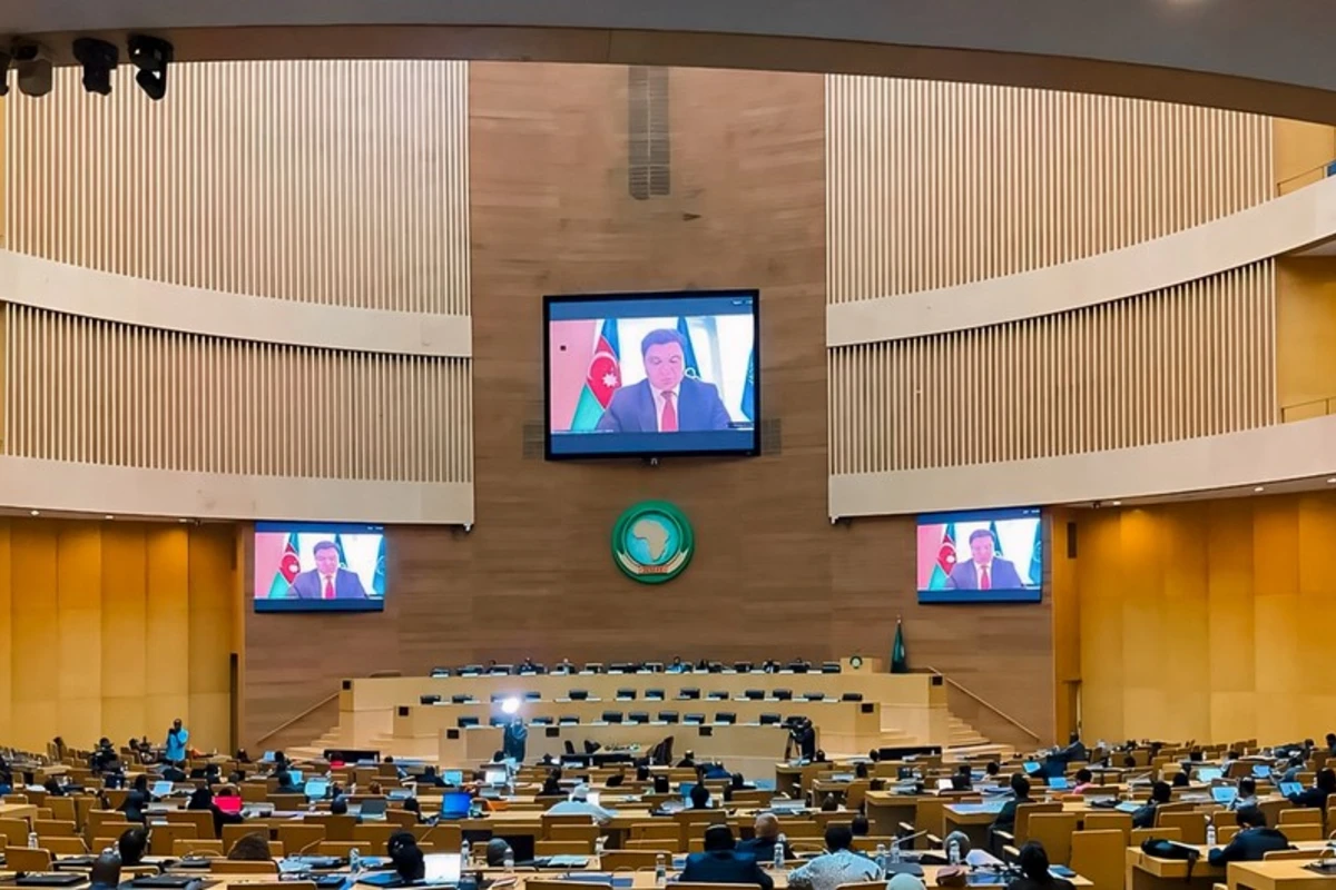 Председательство COP29: Проблемы Африки - в центре нашей деятельности и усилий - ФОТО