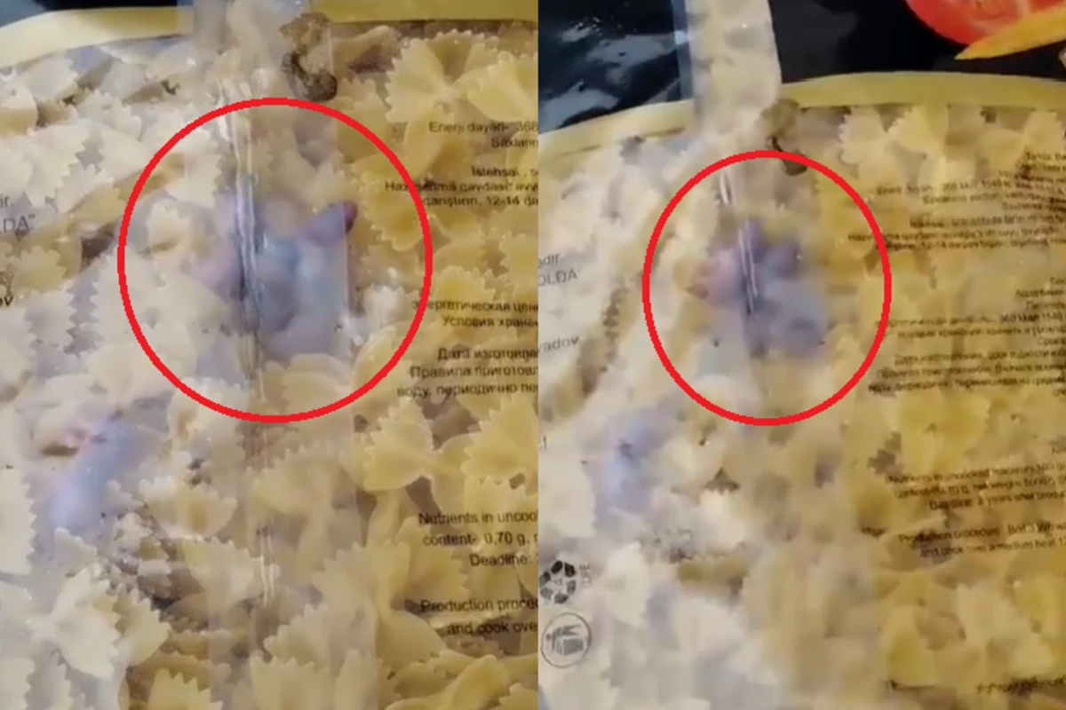 Makaronun içindən diri siçan balaları çıxması iddiasına MÜNASİBƏT - YENİLƏNİB - VİDEO Makaronun içindən diri siçan balaları çıxması iddiasına MÜNASİBƏT - YENİLƏNİB - VİDEO