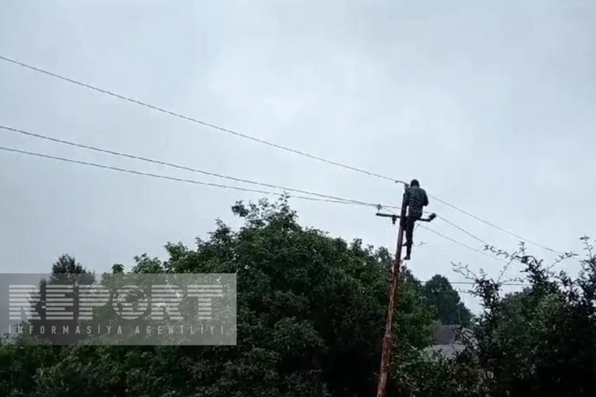 Astarada leysan elektrik təsərrüfatına və vətəndaşlara ziyan vurub - FOTO