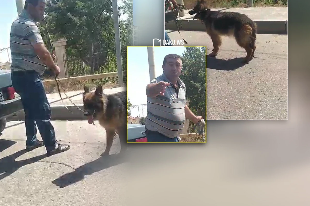Polis Mehdiabad-Pirşağı yolunda itə işgəncə verən şəxsi müəyyənləşdirdi - YENİLƏNİB/VİDEO Polis Mehdiabad-Pirşağı yolunda itə işgəncə verən şəxsi müəyyənləşdirdi - YENİLƏNİB/VİDEO