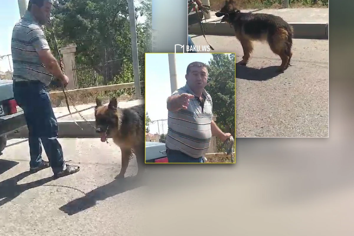 Полиция установила личность человека, издевавшегося над собакой на дороге Мехдиабад-Пиршаги - ОБНОВЛЕНО/ВИДЕО