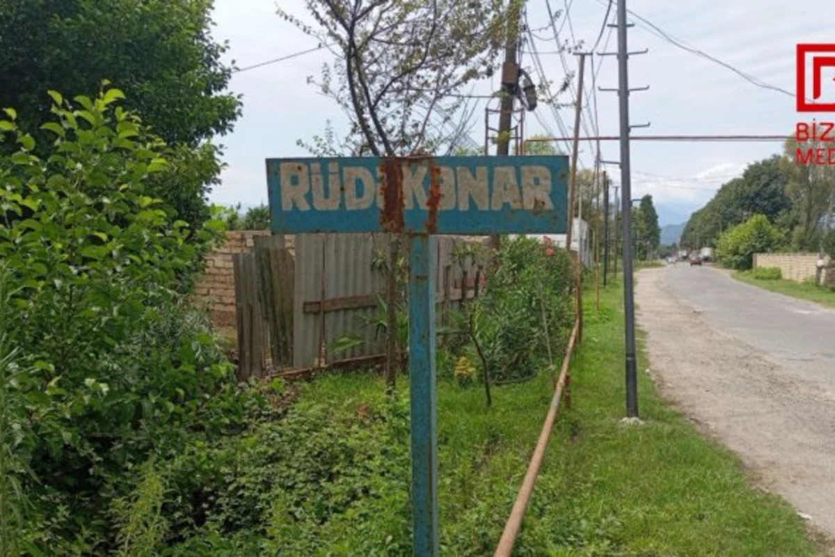 Astarada naməlum vəhşi heyvan kənd sakinlərini QORXUYA SALDI – FOTO