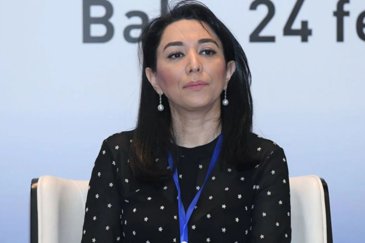 Ombudsman: Ermənistan hətta delimitasiyadan sonra belə öz mina terroru siyasətini davam etdirir