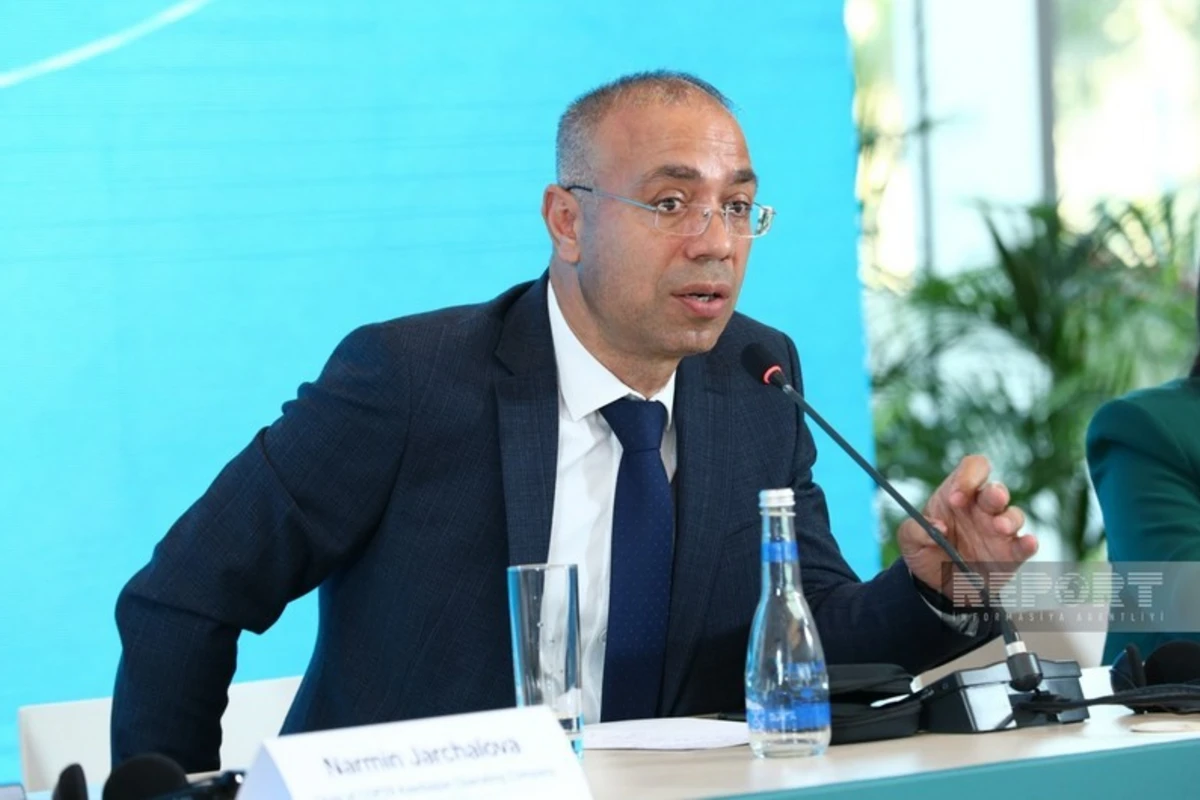 Elnur Sultanov: İqlim maliyyəsi Bakıda keçiriləcək COP29-un əsas müzakirə mövzusu olacaq
