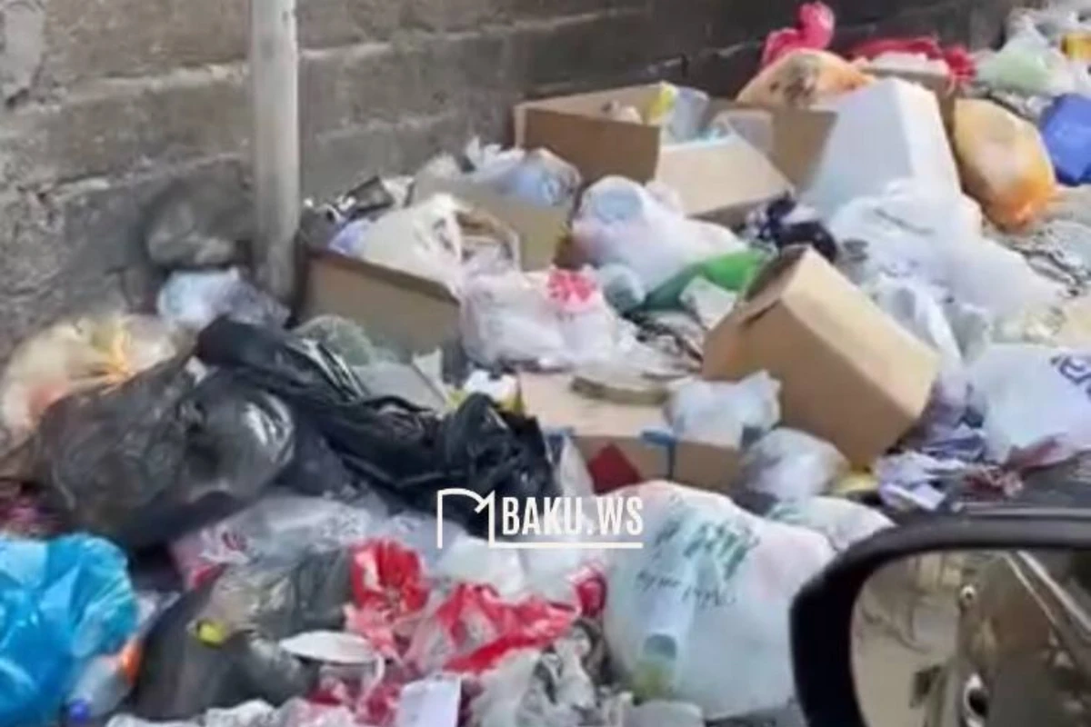 Masazırda zibillik problemi: Pis qoxu insanları təngə gətirib - VİDEO