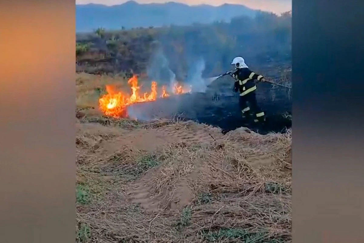 Zəngilanın Şəfibəyli kəndində yanğın olub, quru ot, taxıl sahəsi yanıb - VİDEO