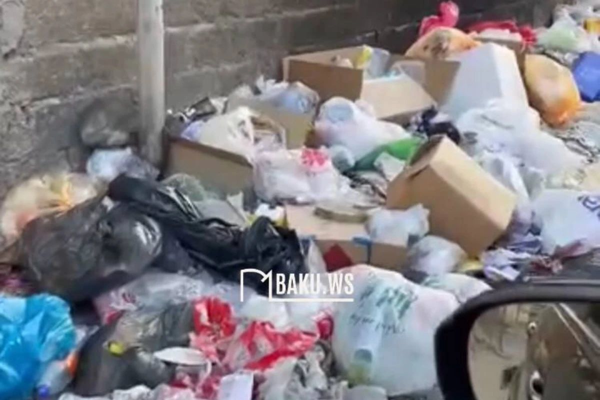 Масазыр утопает в мусоре: огромная свалка угрожает здоровью жителей - ВИДЕО