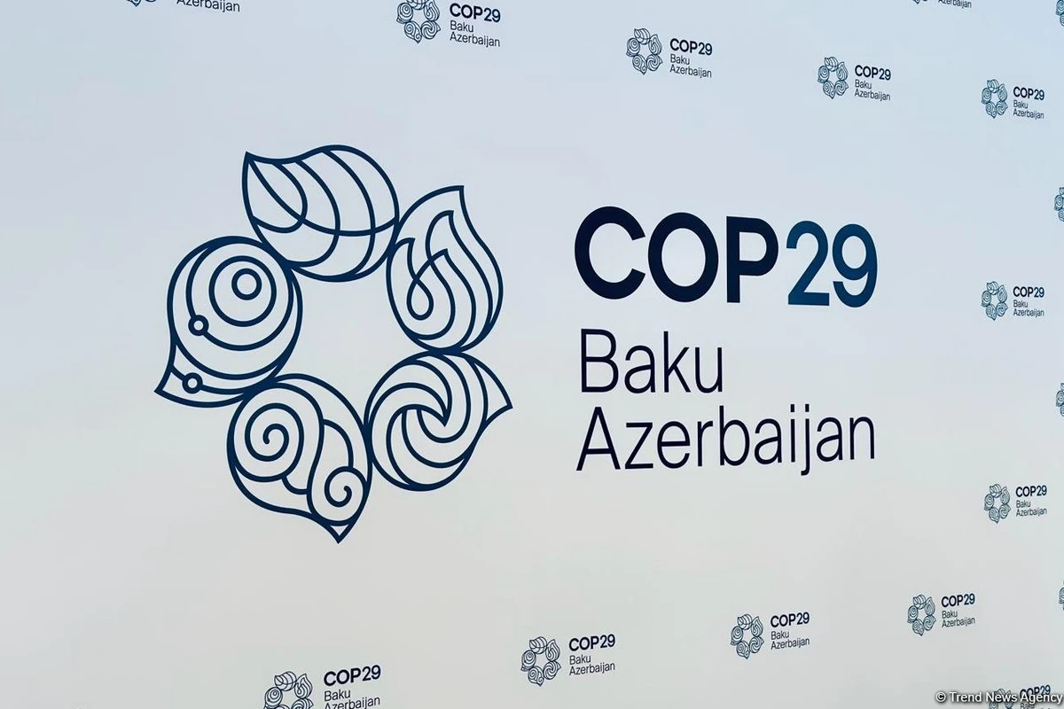 Professor-okeanoloq: COP29 Xəzərin problemlərinin müzakirəsi üçün mühüm platforma olacaq