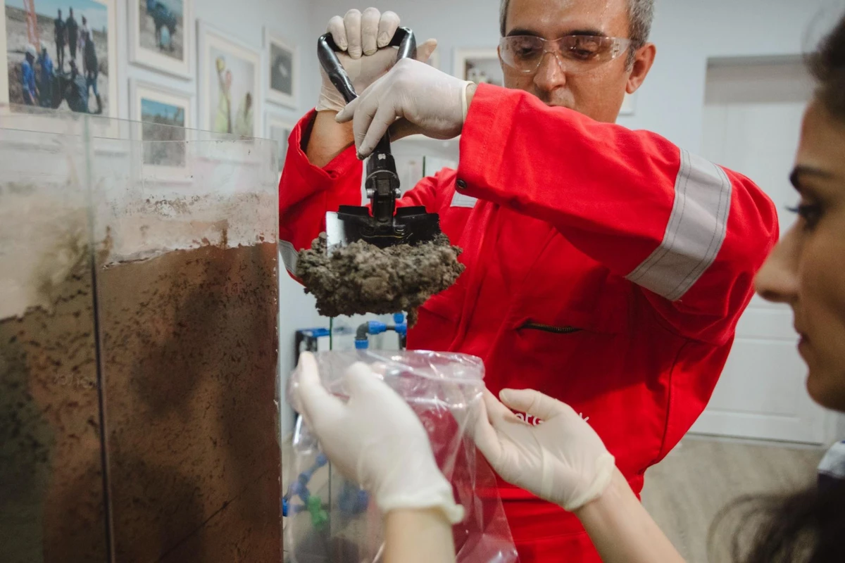 COP29-da Azərbaycanda şoranlaşmış torpaqların bərpası ilə bağlı innovativ layihənin təqdimatı keçiriləcək - FOTO