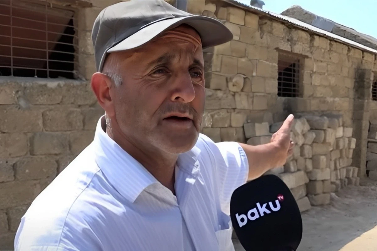 Qala qəsəbəsindəki ferma sakinlərin kabusuna çevrilib - VİDEO