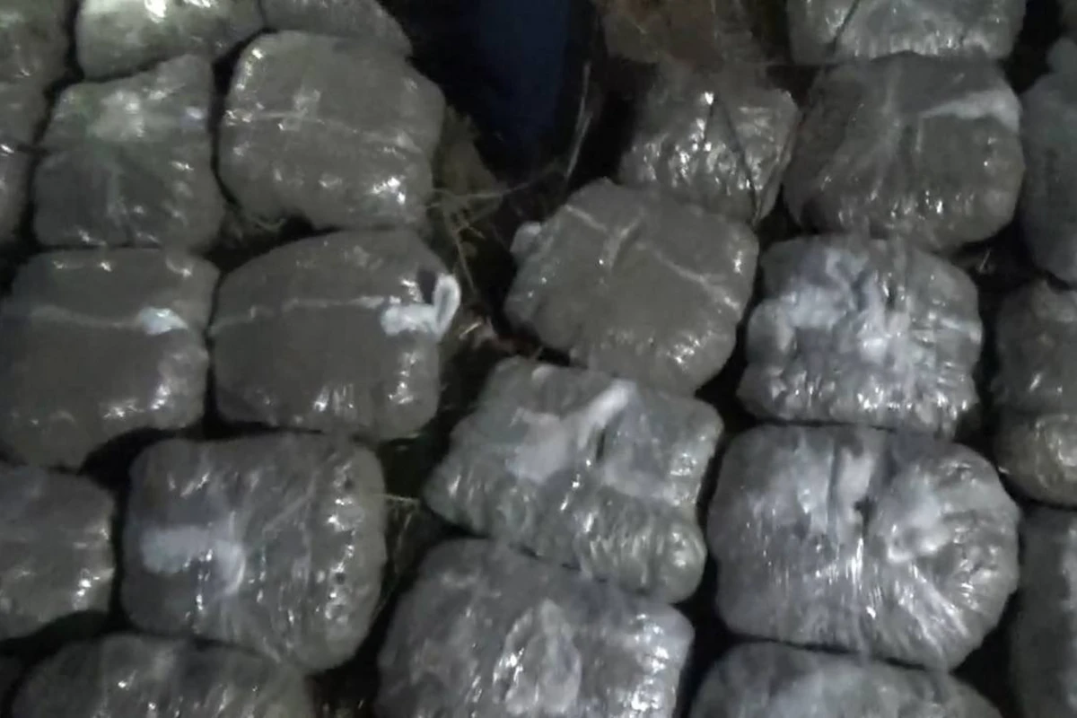 DİN: 61 kiloqram narkotik vasitə dövriyyədən çıxarılıb