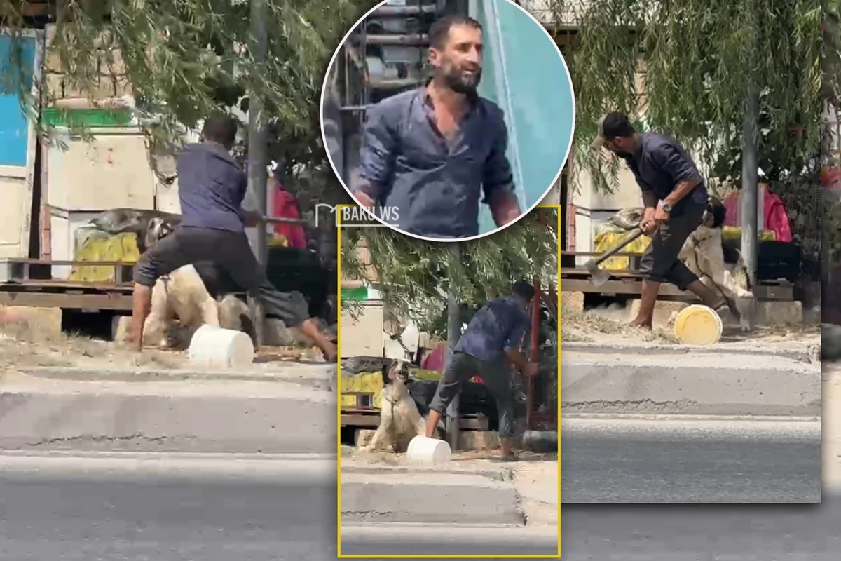 Küçədə itə balta ilə işgəncə verdi - Ürəyi zəif olanlar BAXMASIN - YENİLƏNİB - VİDEO