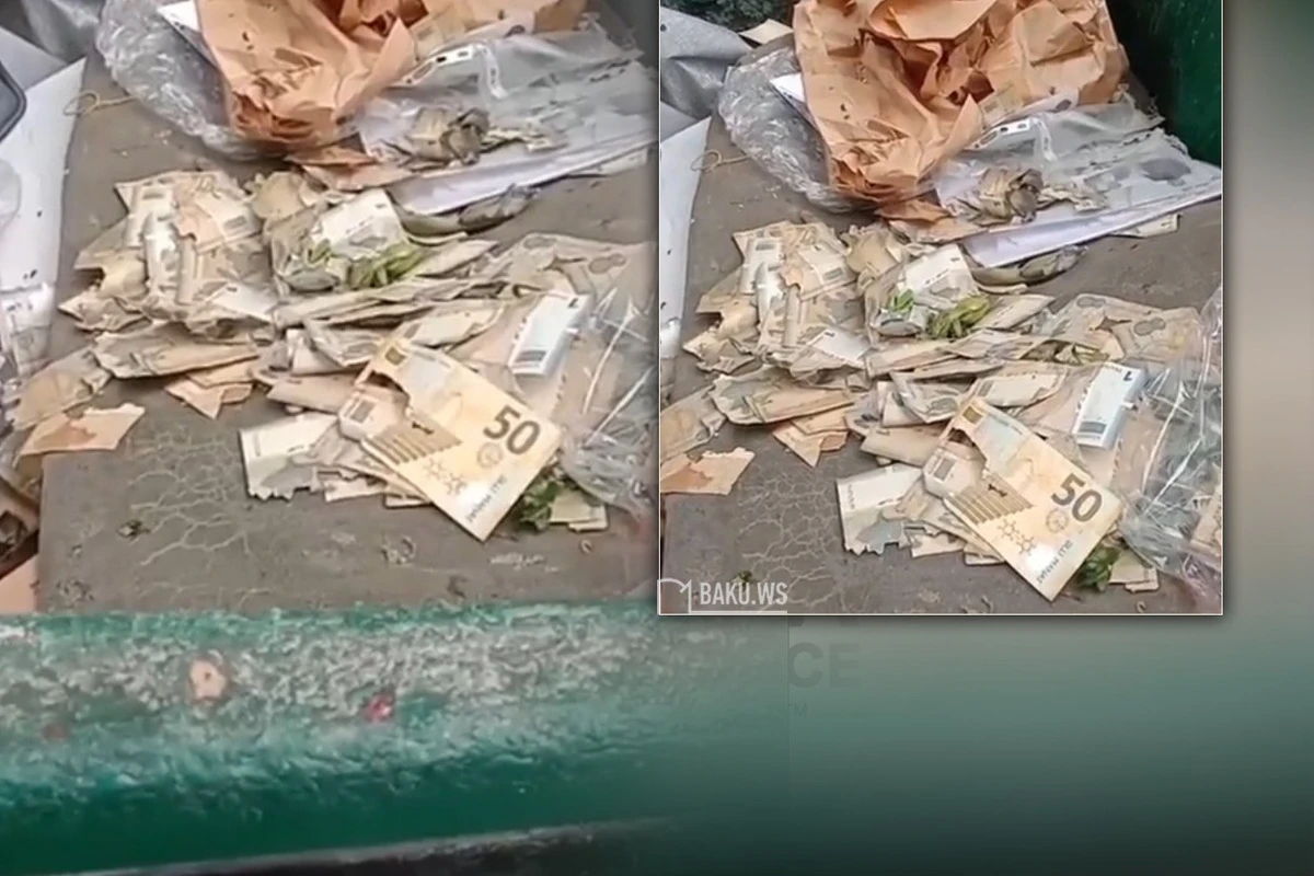 В мусорном баке обнаружены выброшенные манаты - ВИДЕО В мусорном баке обнаружены выброшенные манаты - ВИДЕО