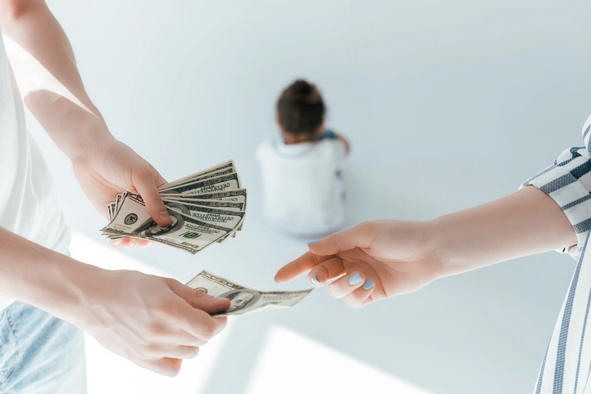 Alimentin miqdarı necə TƏYİN OLUNUR?
