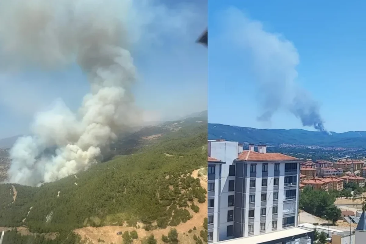 Türkiyədə eyni vaxtda daha iki meşədə yanğın oldu - VİDEO