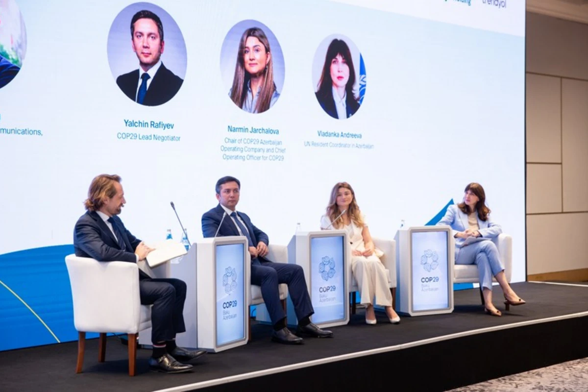 COP29 ərəfəsində media üçün effektiv kommunikasiya strategiyaları mövzusunda seminar təşkil edilib - FOTO