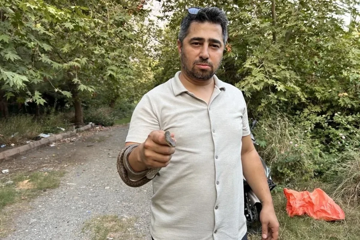 İlanları təbiətə buraxıb onlara məsləhət verdi: İnsanlardan uzaq dur, səni öldürəcəklər - FOTO İlanları təbiətə buraxıb onlara məsləhət verdi: İnsanlardan uzaq dur, səni öldürəcəklər - FOTO
