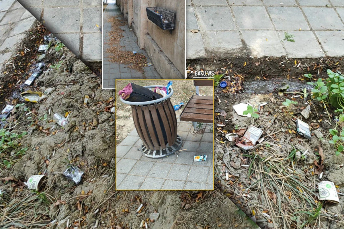 Bakıda şəhidlərin adını daşıyan park niyə zibilliyə çevrilib? – RƏSMİ AÇIQLAMA/FOTO