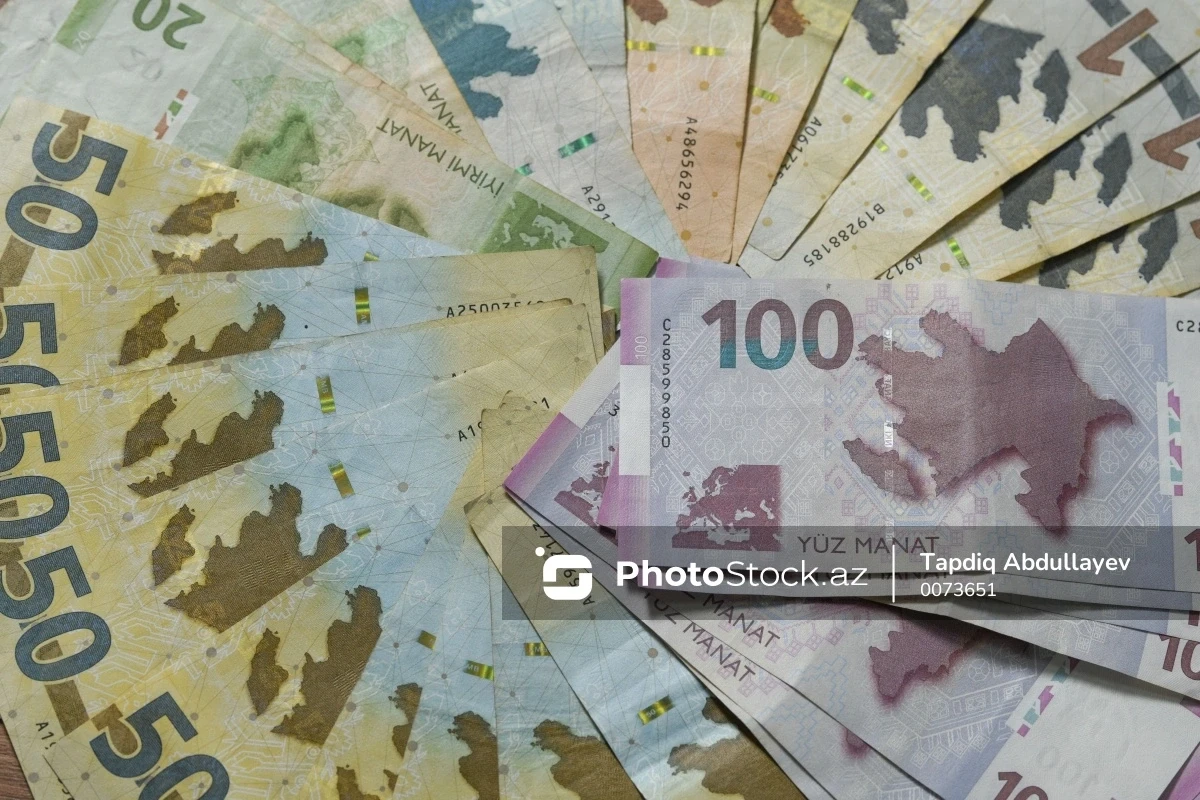 Əhalinin banklardakı pulu niyə azalıb? - VİDEO