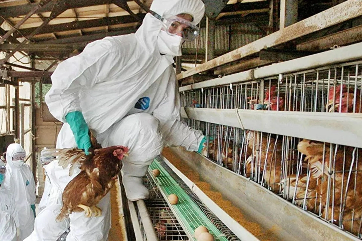 Азербайджан ограничил ввоз продуктов из нескольких стран мира